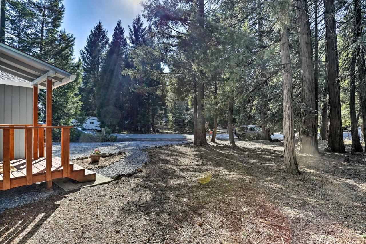 Base Camp Lassen Home 13 Mi To Volcanic Natl Park Shingletown Zewnętrze zdjęcie