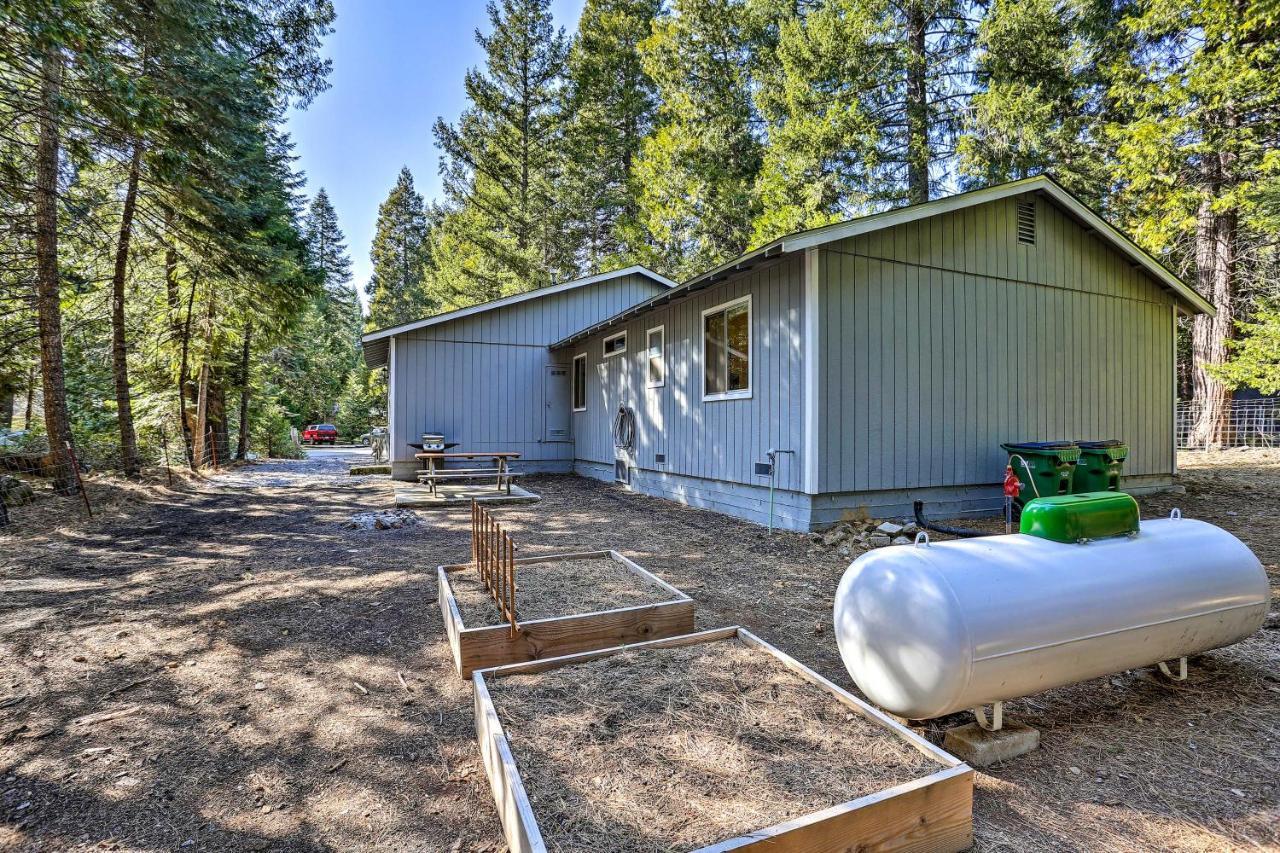 Base Camp Lassen Home 13 Mi To Volcanic Natl Park Shingletown Zewnętrze zdjęcie